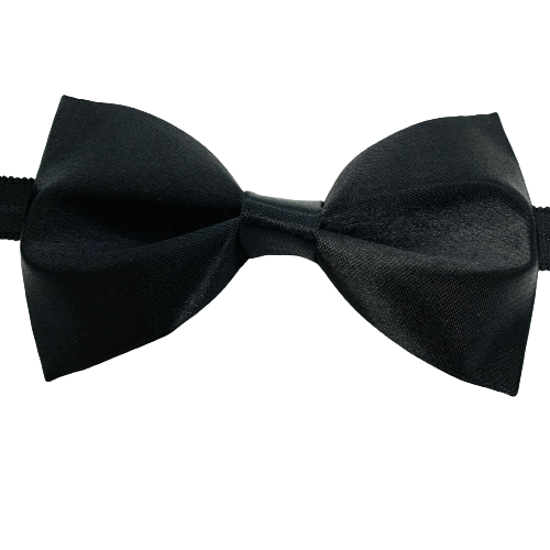 Stylish Pattern Bow Tie